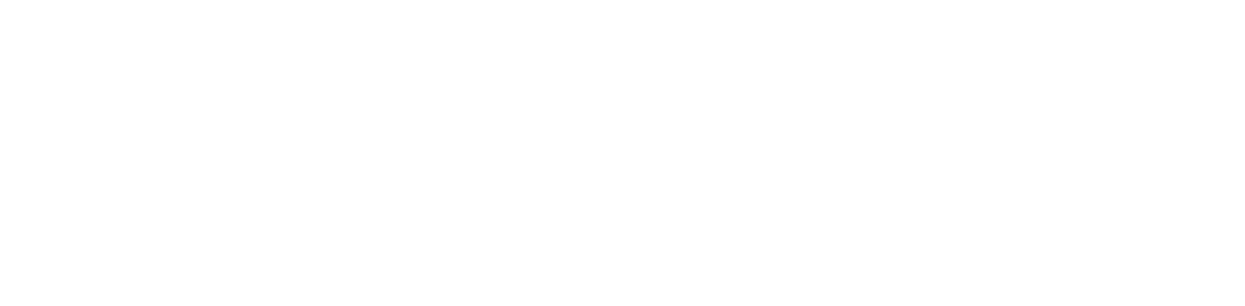 vinera-logo.png